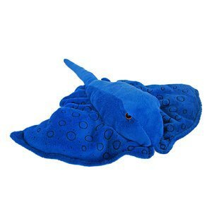  Płaszczka niebieska 35,5cm