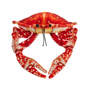 Krab pomarańczowy 26 cm