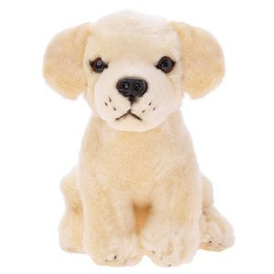 Pies Labrador siedzący 20 cm