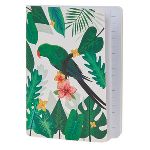 Notes papuga ara zielona