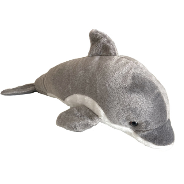 Delfin szary