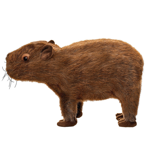 Kapibara 33 cm